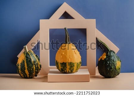 Different types of decorative pumpkins on the geometrical podium. Organic concept. Modern aesthetic. mockup with copy space. Natural tones.
