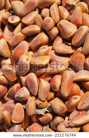 A close up of the pine nuts.