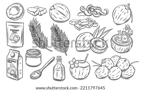 Coconut set, outline icon vector illustration. Hand drawn black line palm tree leaf from summer beach, whole tropical fruit and cut into slices, exotic cocktail, coconut milk and oil for cooking Royalty-Free Stock Photo #2211797645