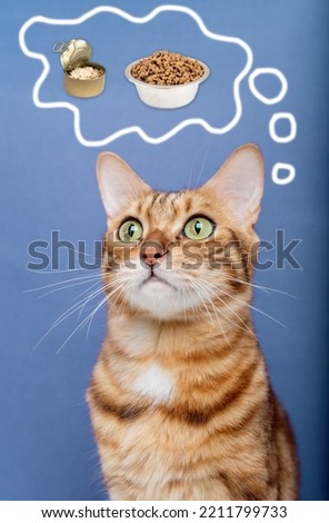 Portrait of a funny cat thinking about food. Bengal cat and thought cloud.