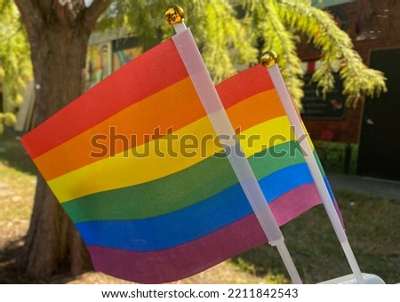 two rainbow pride flags at a park on a sign near a tree and store