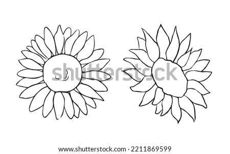 Black line sunflowers hand drawn set of illustrations isolated on white background