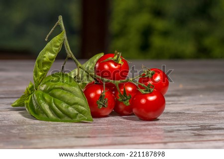 Close-up picture of branch of small red and tasty tomatoes with big green leave, you want to eat them, on the wooden table in vegan caffee, with copy place 