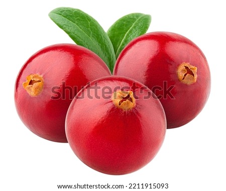 cranberry, cowberry, lingonberry, isolated on white background, clipping path, full depth of field Royalty-Free Stock Photo #2211915093