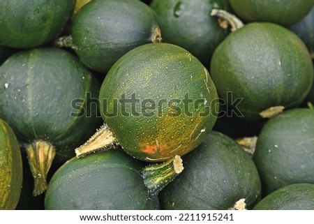 Many green Rondini Gem squashes  Royalty-Free Stock Photo #2211915241