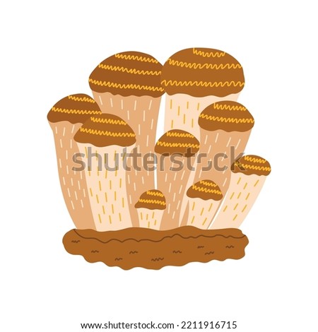 Family of fairy mystery mushrooms. Colorful vector isolated illustration hand drawn. Wildlife doodle card. Little magical mushrooms in forest. Clip art autumn print