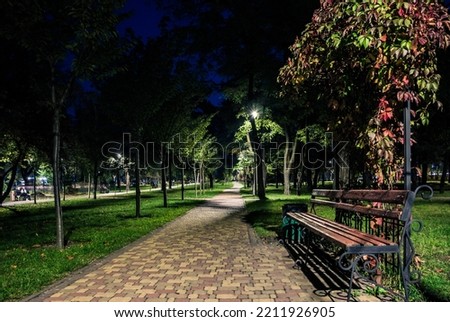 The tailed lawn with yellow leafs in the night park with lanterns in autumn. Benches in the park during the autumn season at night. Illumination of a park road with lanterns at night. Park Kyoto