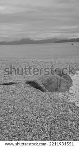 Black and white photo of a stone on the shore of the lake.
