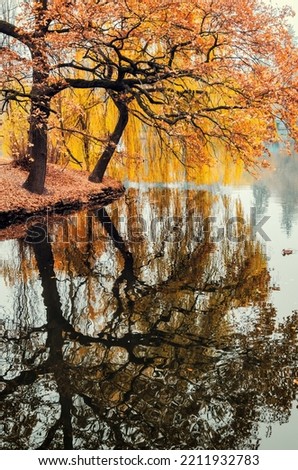 Autumn trees reflection in the park pond. Calm autumn landscape