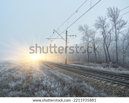 Train tracks in winter with frost covering around everywhere and power lines