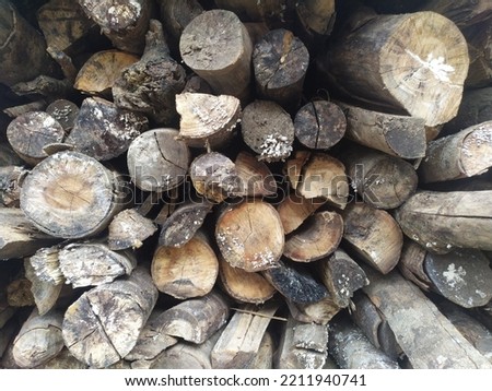 Group of firewood for cooking