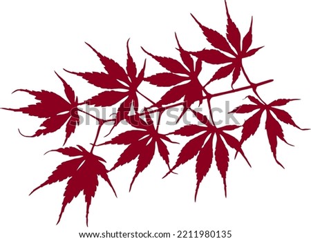 Red Japanese maple leaves, autumn or fall leaves in seasonal thanksgiving or halloween design element, tree branch or stem vector with transparent background, nature illustration