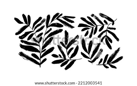 Branches with long rounded leaves collection. Hand drawn black brush botanical silhouettes. Long bold olive or eucalyptus leaves on twigs. Vector illustration of tropical plants isolated on a white.  Royalty-Free Stock Photo #2212003541