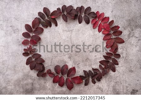 Autumn background. Frame of red fallen leaves. Flat lay. Top view. Copy space. Horizontal photo.