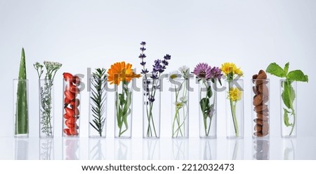 Test tubes with herbs on white background. Herbal medicine concept. Herbal medicine research. Royalty-Free Stock Photo #2212032473