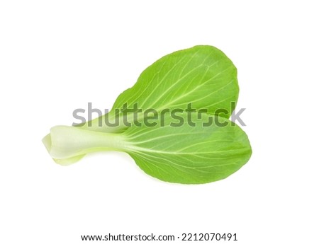 leaves bok choy vegetable isolated on the white background. Royalty-Free Stock Photo #2212070491
