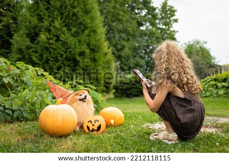 halloween kid, dog. little girl photographer taking picture, portrait of pomeranian in witch costume, hat with pumpkin, jack-o-lantern for scary holiday. Spitz posing, looking at the camera