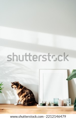 Modern minimalist style interior with white poster mockup, candles and relaxed cat on a wooden console with tropical green home plants under sunlight and shadows on a gray wall. Selective focus
