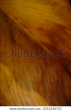 Blurred background of yellow withered leaf 