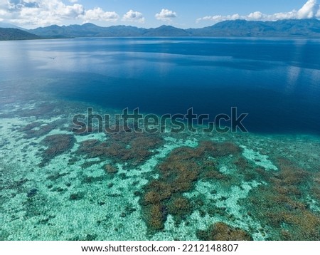 A healthy coral reef thrives off the Pulau Besar north of Flores, Indonesia. This region is known for its high marine biodiversity and spectacular scuba diving and snorkeling. Royalty-Free Stock Photo #2212148807