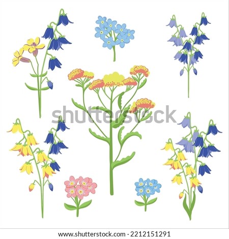 Wildflowers set. Wild flowers floral botanical plants. Meadow and field herbs. Delicate summer flowers illustration in hand drawn style isolated on white background