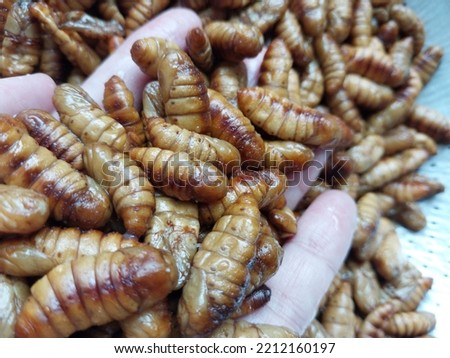 Fried Silkworm chrysalis texture background

