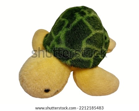 Turtle doll isolated on white background. Tortoise doll.