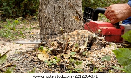 A worker with an electric saw cuts down a tree at the base. Sanitary felling of weak diseased trees. Cut down the forest. Illegal logging, poaching. Firewood harvesting Royalty-Free Stock Photo #2212204871
