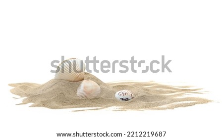 Sea shells in sand pile isolated on white background Royalty-Free Stock Photo #2212219687