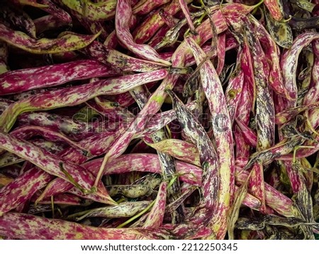 Texture of red beans. purple long beans for food background.