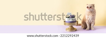 Happy birthday banner. Funny cat wearing sunglasses and sitting at a birthday cake with a candle and waiting for gifts. Birthday web line, confectionery, bakery, business concept. Copy space