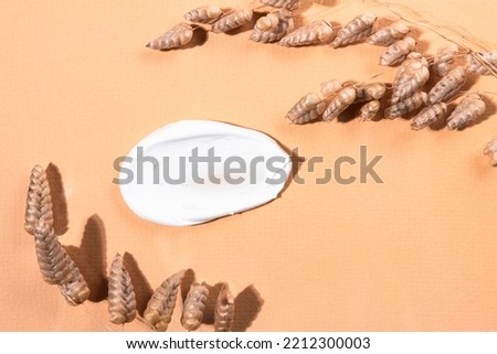 Face cream swatch on beige background with dry plant top view. Skin care, cosmetic product.