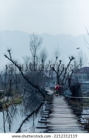 Dal Lake on a winter morning, Srinagar, Kashmir, India