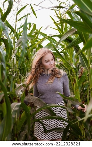 beautiful young woman in a corn field