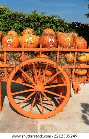 Halloween party. Cart with hand-decorated pumpkins