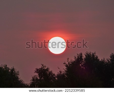 close up photo of the sun. photo taken in the UK.