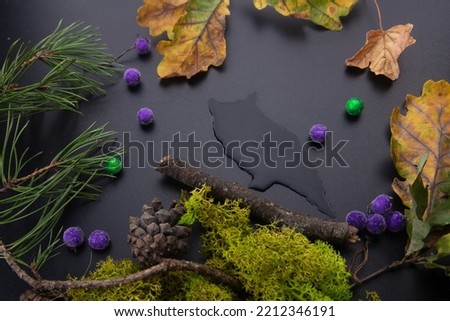 Water picture of owl silhouette on black background. Pine tree branch, cones, green moss, dry orange leaves, purple berries. autumn forest