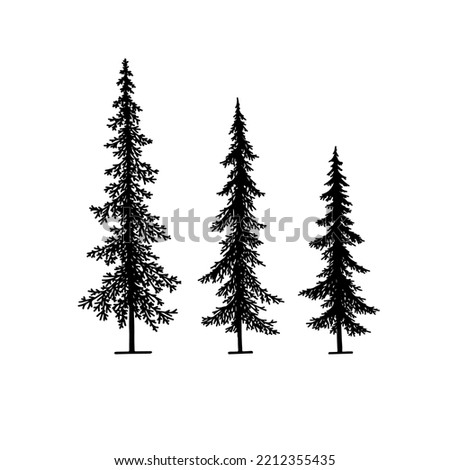 fir and spruce tree silhouette black and white vector. Isolated set forest trees on white background
