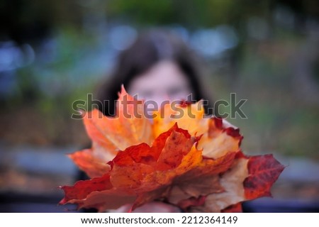 Bunch of red and orange autumn maple leaves with a girl's head in  the background, concept of autumn idea