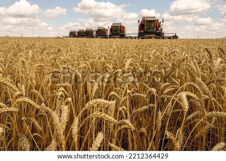 The battle for the harvest in Russia, combines and other agricultural machinery lined up in the diagonal for the harvest of wheat and other grains