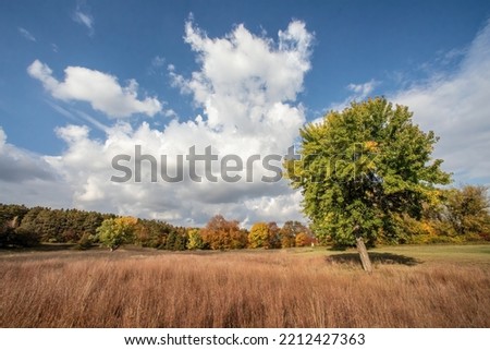 White cumulus clouds over Heritage Park on a beautiful autumn afternoon in Taylors Falls, Minnesota USA. Royalty-Free Stock Photo #2212427363