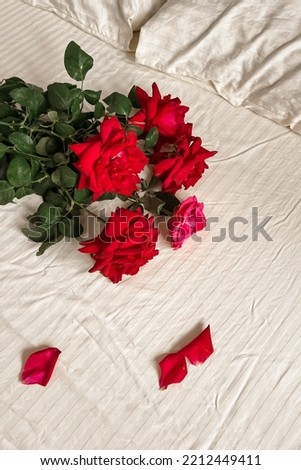 A bouquet of scarlet roses and petals lie on the light satin bed linen, a minimalist greeting card with a good morning with a copy place.