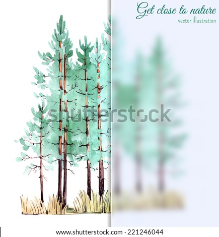 Watercolor painting of young pine forest with blurred glass banner. Vector illustration.