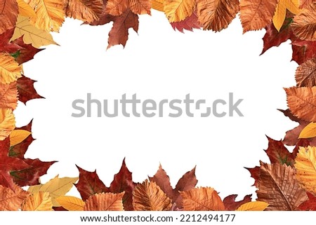 frame autumn leaves yellow design