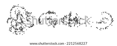 Black sesame seeds isolated on white background	
 Royalty-Free Stock Photo #2212568227