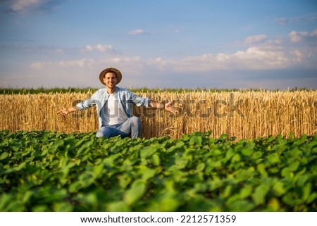 Happy farmer enjoys in his growing wheat  and soybean field.