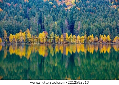 landscape with yellowed trees reflecting in the water