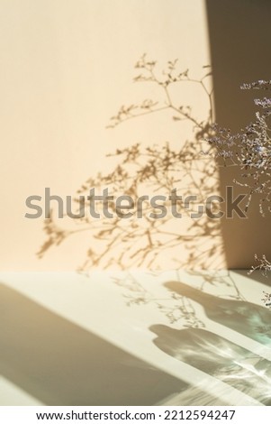 Shadow from dry flowers on a beige background. Abstract trendy colored nature concept background. Layout for exhibitions, products, cosmetics, health.
