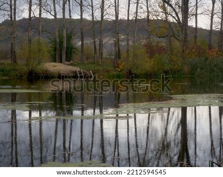 Forest river in autumn, the banks are covered with grass, trees grow, tree trunks are reflected on the surface of the water, the leaves are colored with different colors, a beautiful autumn landscape