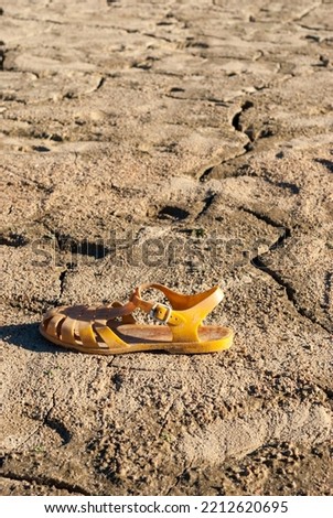 plastic crab sandal on cracked ground due to lack of water climate change drought Extremadura Spain Europe